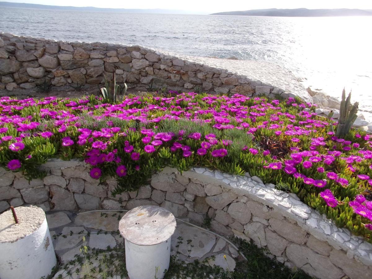 Pura Vida Makarska Lägenhet Exteriör bild